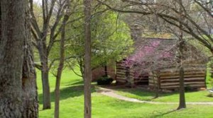 log house in the woods